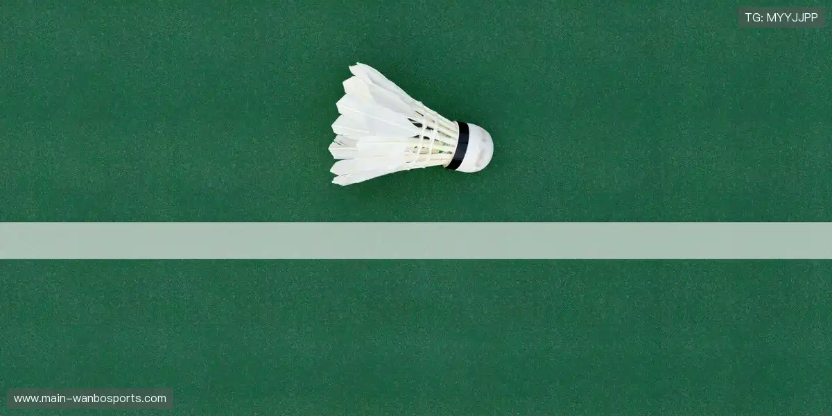 🏆 定制化赛事视觉包装，强化品牌形象